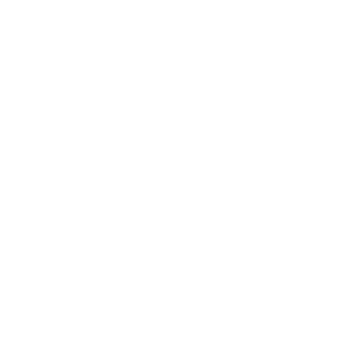 SneakERASERS